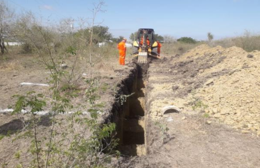Trabajo de excavación en campo